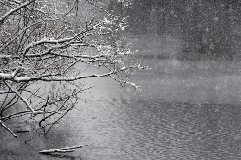 Not grayscale