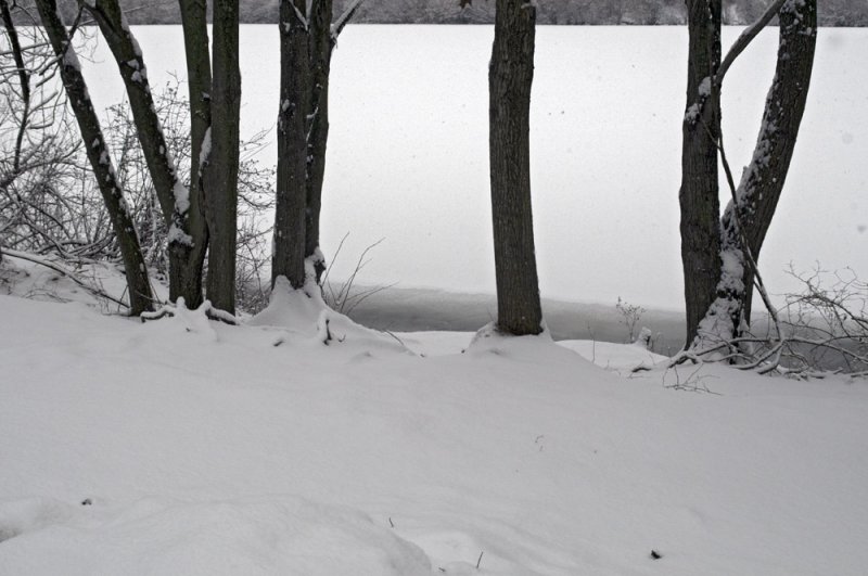 Shoreline