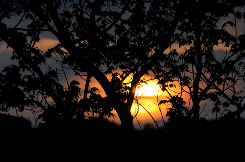 Sunset on Canada Pond