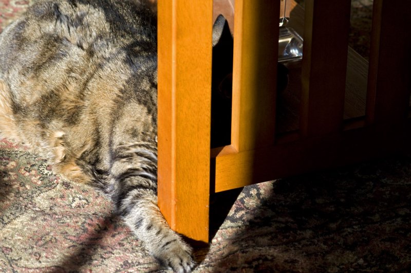 Too. much. sun.
