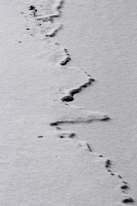Ice seam