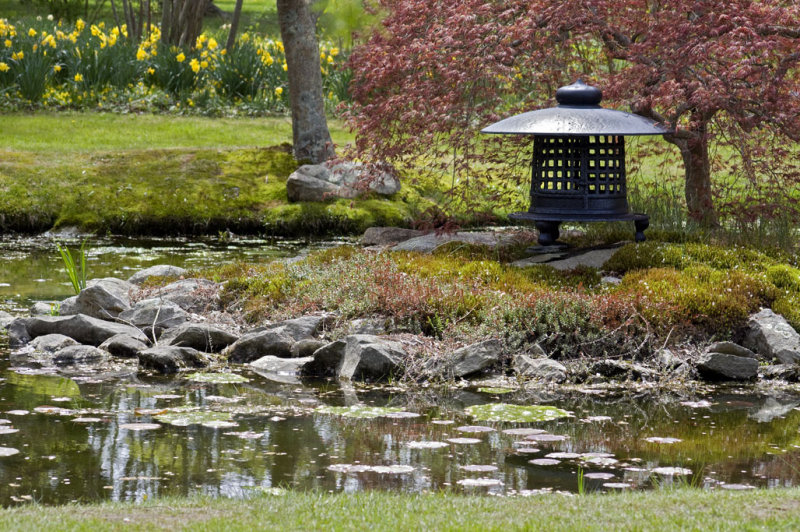 Water garden