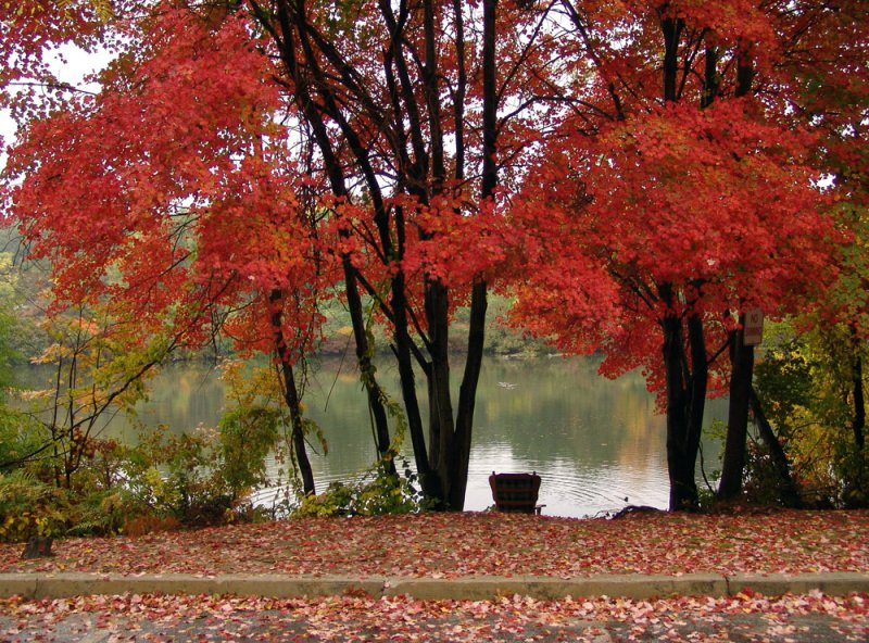 a little place on the lake