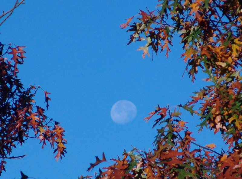 moonset