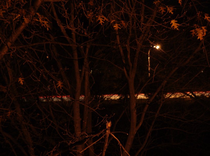 I sit two stories above the street...