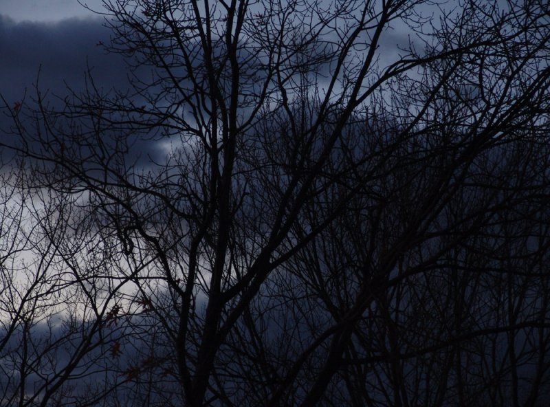 evening light
