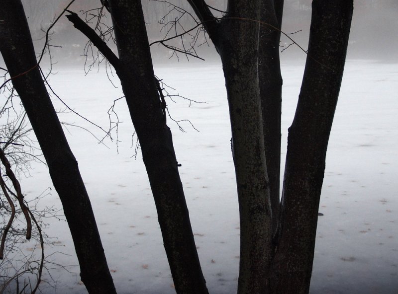 flashback to winter (2)
