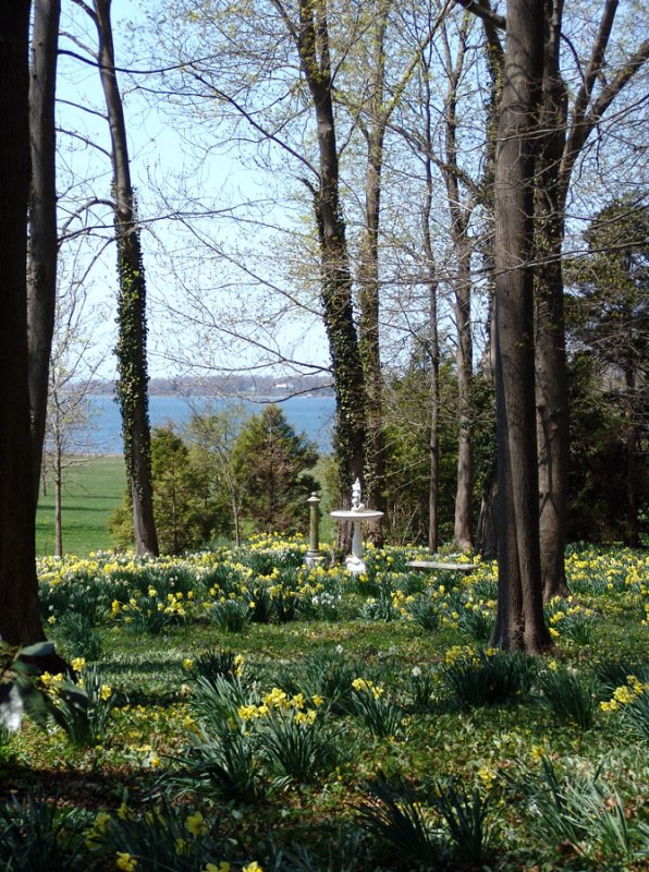 Enclosed Garden