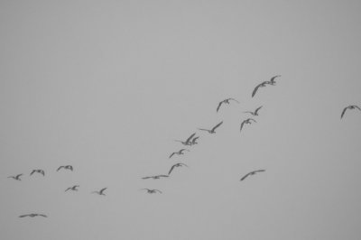 g3/71/685571/3/120454793.Ew6HHwc8.jpg