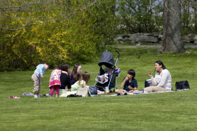 The picnic