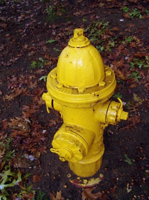 even the hydrants are changing color...