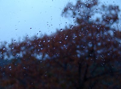 rainy (Satur)day