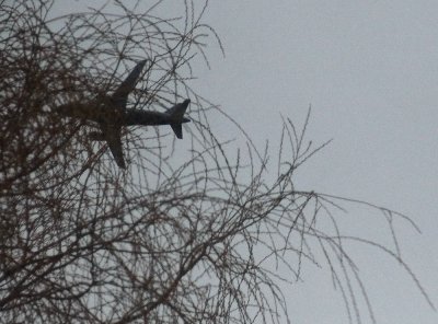 the evening flight to Notner is lost again