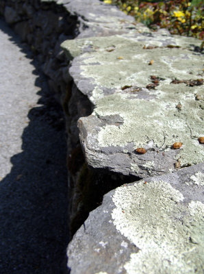 lichen-covered rock wall