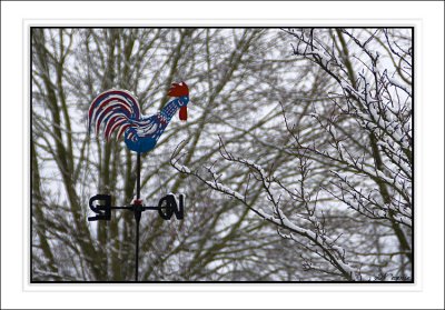 g3/71/716571/3/110022430.t9TvuEWe.jpg