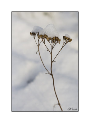 g3/71/716571/3/120881935.2eX2A9K0.jpg