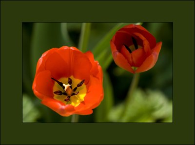 g3/71/716571/3/123761007.M4NOAL64.jpg