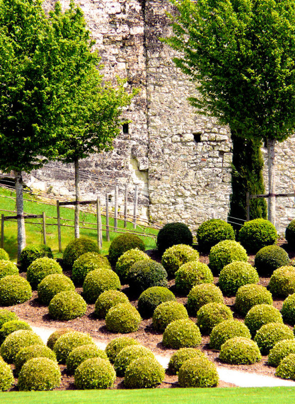 Amboise-fantaisie en vert-40518.jpg