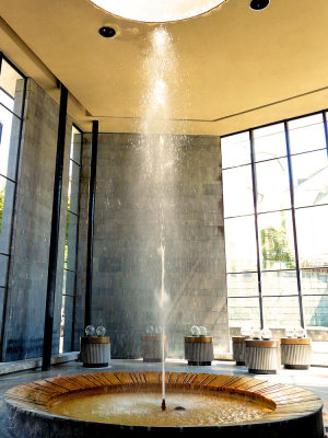 Karlovy Vary-geyser-60930-Chl.jpg