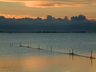 Camargues-0514.jpg