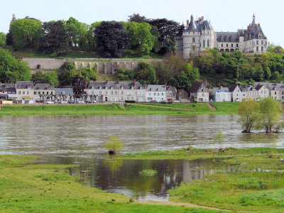 Chaumont sur Loire-40623.jpg