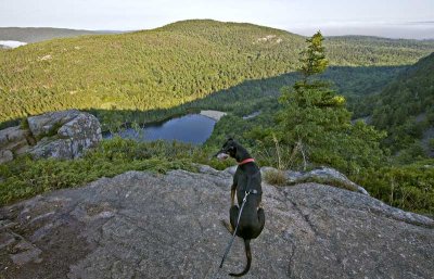 Beech Mountain Cliffs, Mount Desert, Maine 20080814-0082