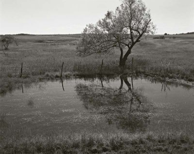 Hays County, Texas 19751102