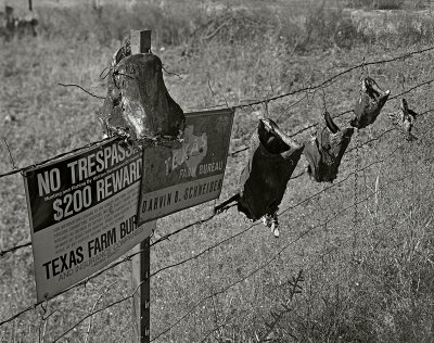 Guadalupe County, Texas 19751103