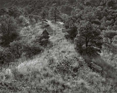 Green Gulch Ridge, BBNP, Texas 19920109