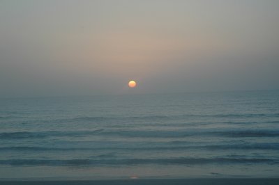 DSC_0272.JPG