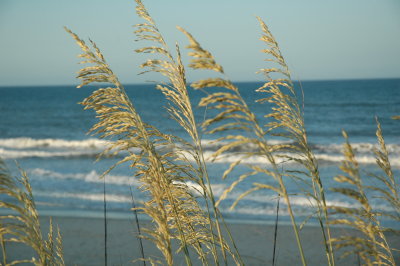 DSC_0192.JPG