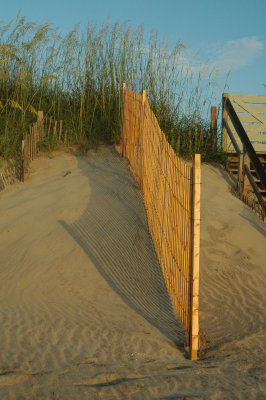 DSC_0335.JPG
