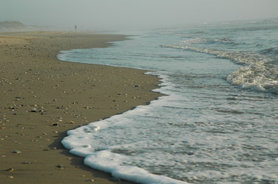 DSC_0371.JPG