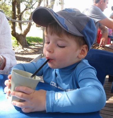 Milkshake at Ricketts Point