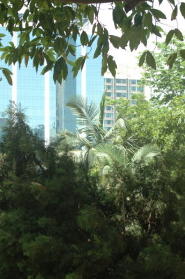 DSC_0244.JPG