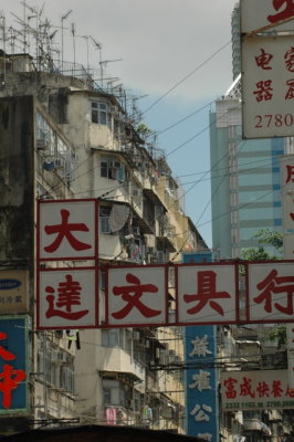 DSC_0330.JPG