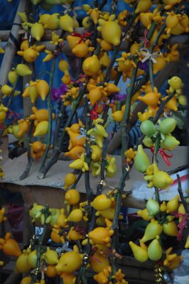 DSC_0015.JPG