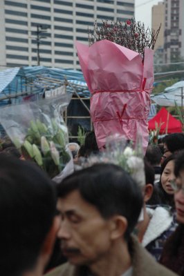 DSC_0058.JPG