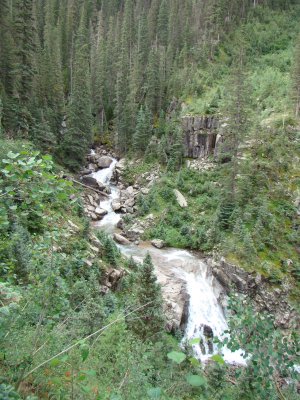 Needle Creek