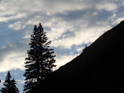 Reflected Light