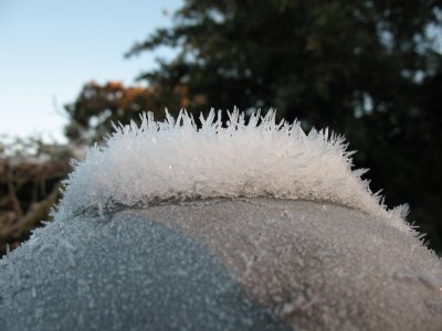 IMG_2756.JPG