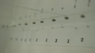 rivet