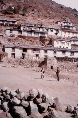Group1_000113.jpg