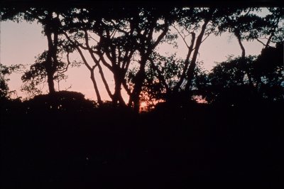 Group1_000149.jpg