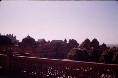 Group1_000152.jpg