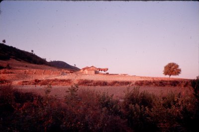 Group1_000153.jpg