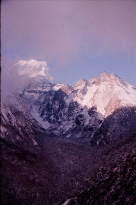 Group1_000226.jpg