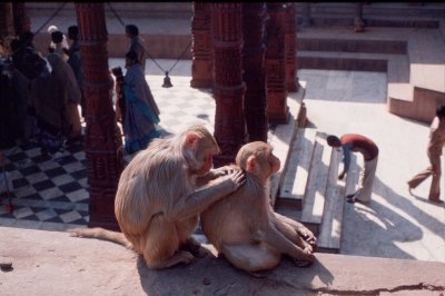 Group1_000212.jpg