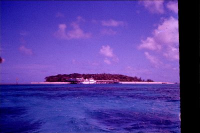 Group1_000241.jpg
