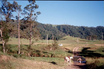 Group1_000246.jpg